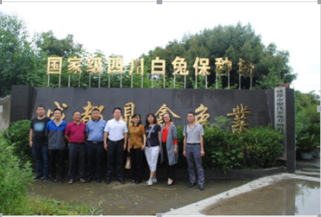 QQ图片20180611102729.png