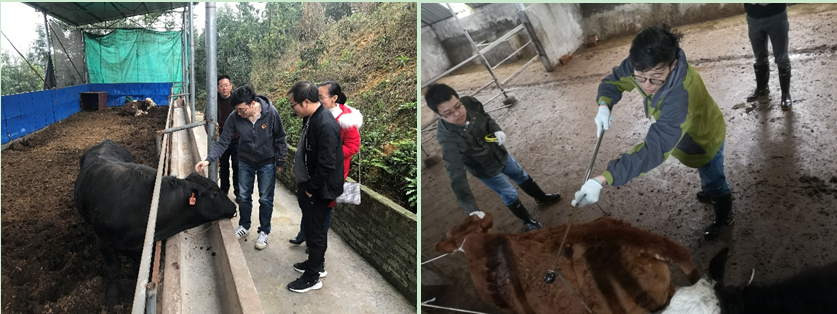 QQ图片20190319151929.png