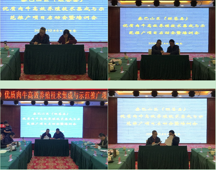 QQ图片20191216161944.png
