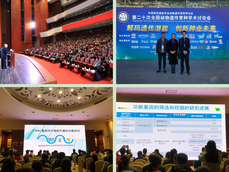 QQ图片20191216160904.png