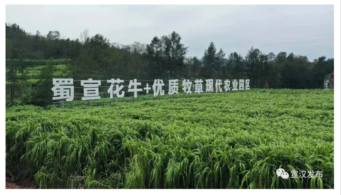 5fd6c376e2ed6.png QQ图片20201214094149.png