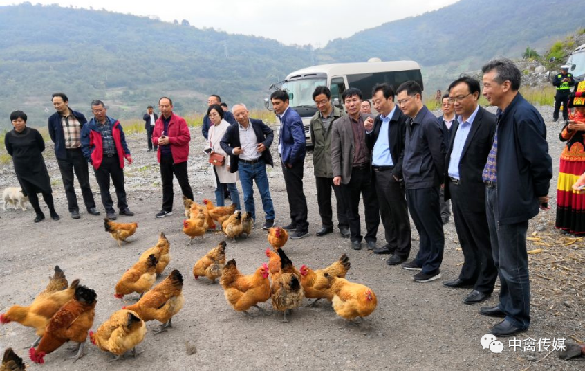 5ff41ecc21ffd.png QQ图片20210105160338.png