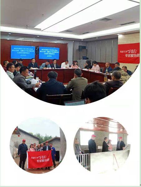 QQ图片20210430155643.png