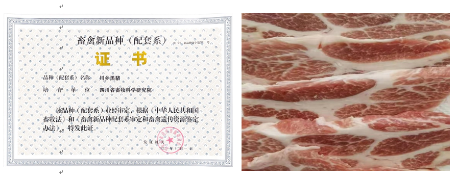 QQ图片20211206105740.png