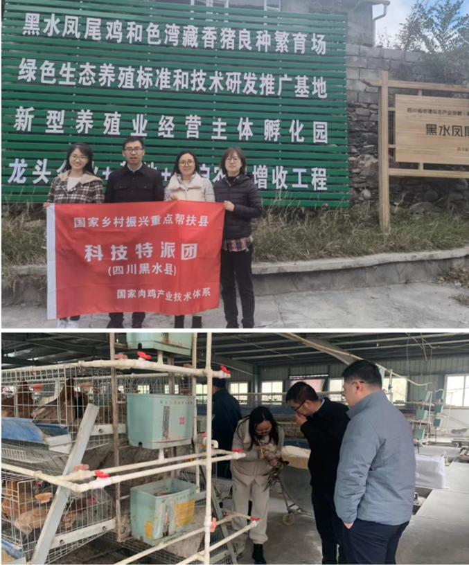 QQ图片20221122093746.png