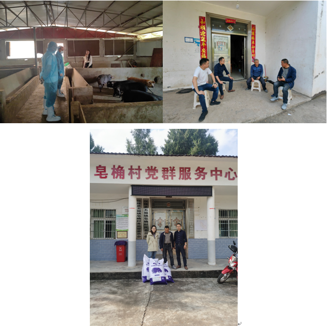 QQ图片20231113100446.png