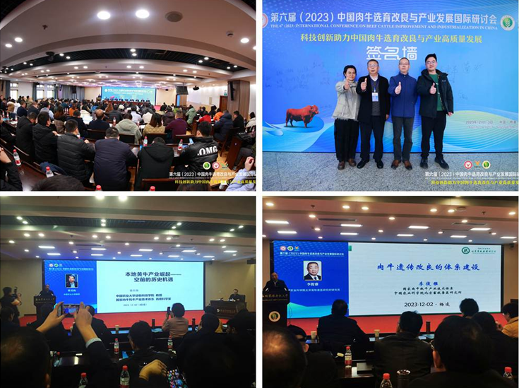 QQ图片20231206094126.png